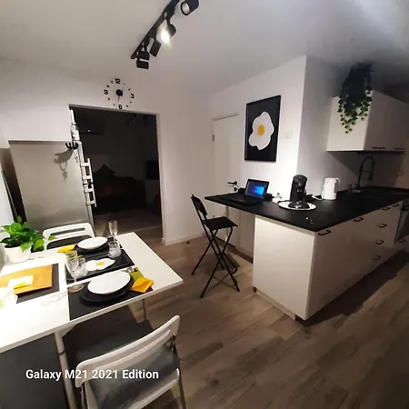 Appartamento Relax Ap Timisoara