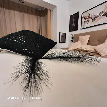 Relax Ap * Τιμισοάρα