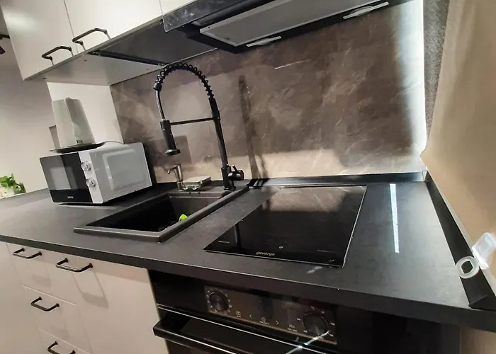 Relax Ap Appartement Timişoara