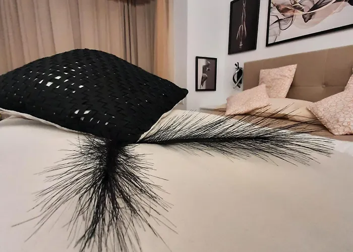 Relax Ap * Timişoara