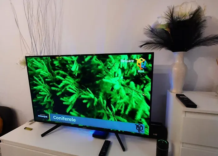 Relax Ap Appartement Timişoara