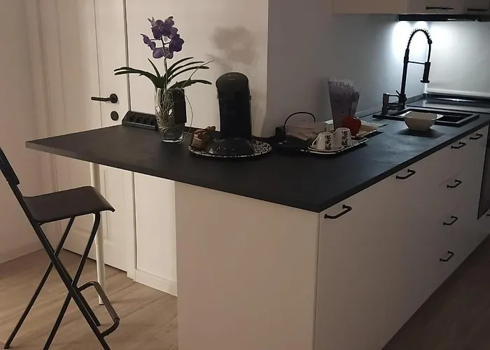 Relax Ap Apartment Timisoara