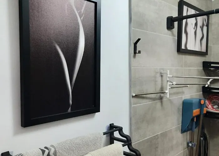 Relax Ap Apartment Timisoara